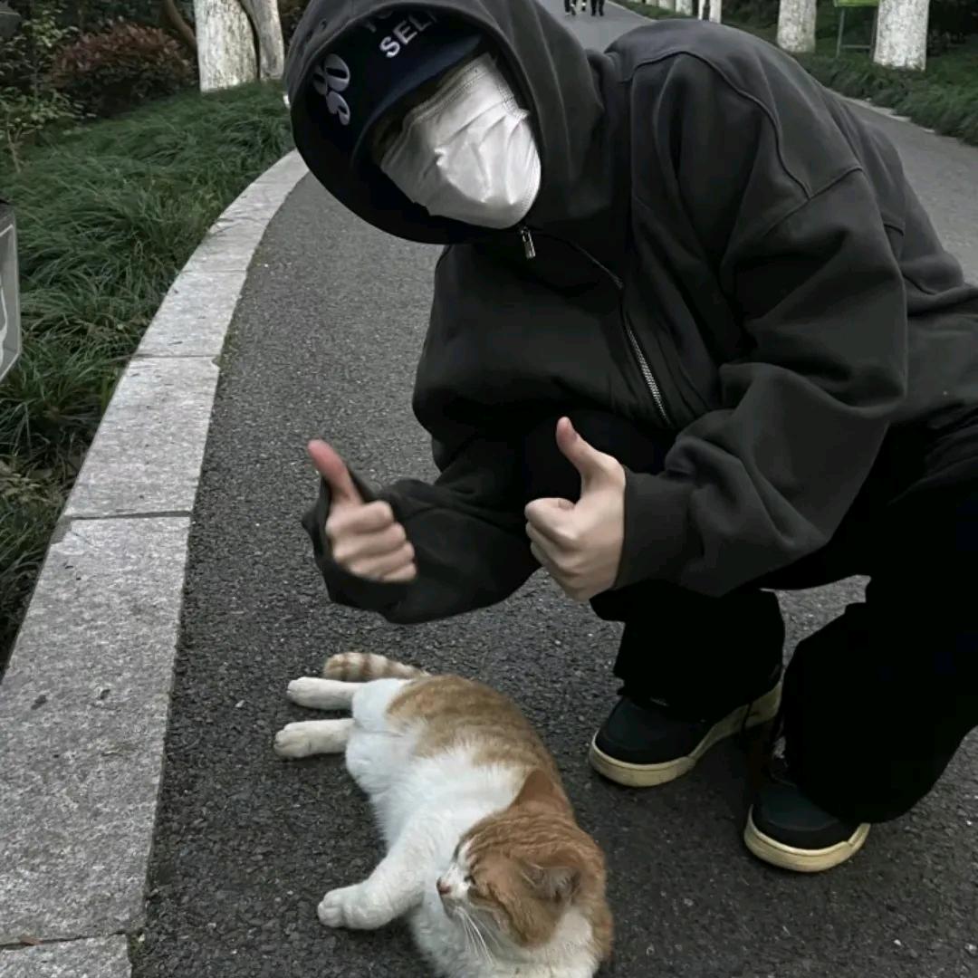 小董的朋友圈🐒