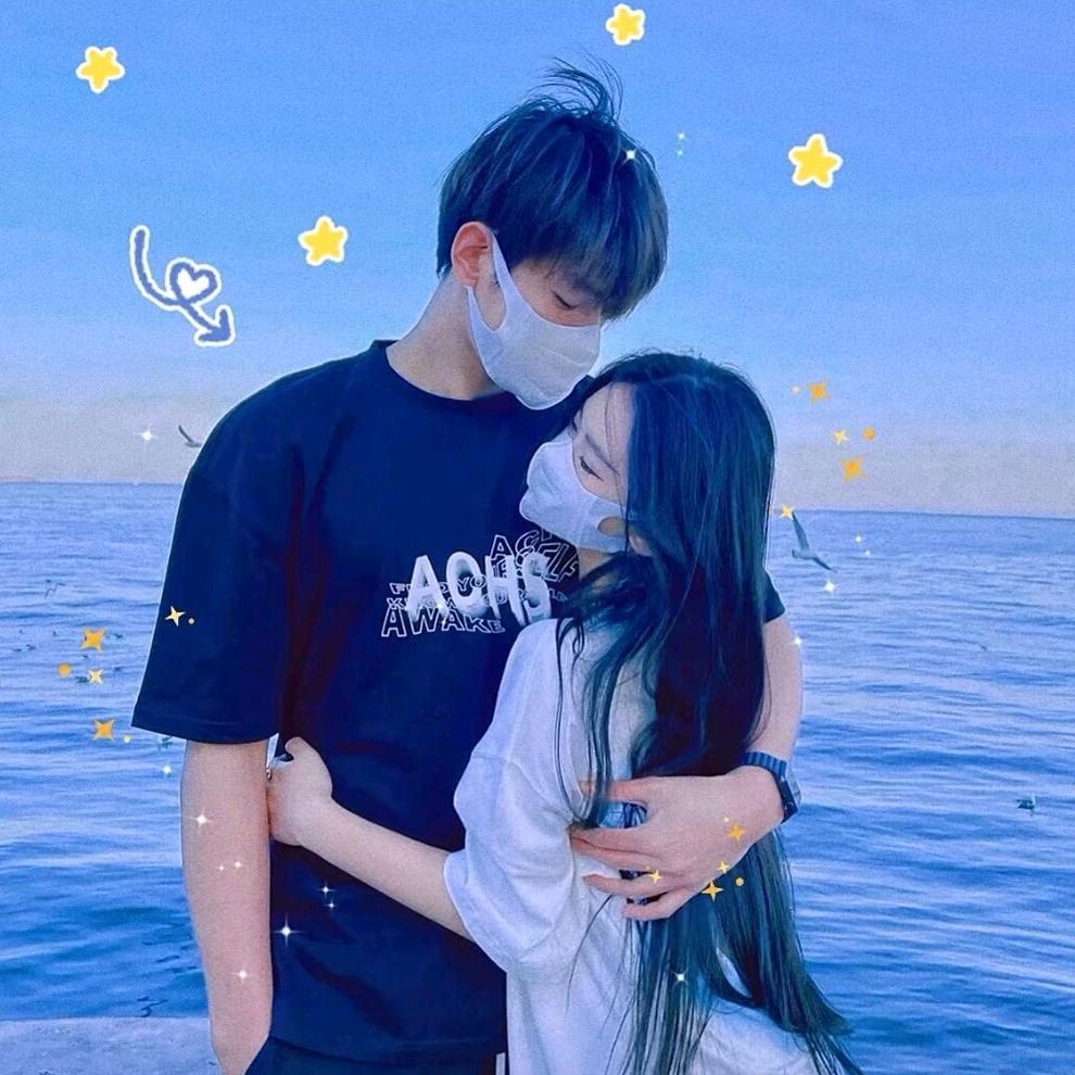 芯枫