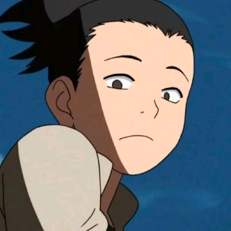 北城-