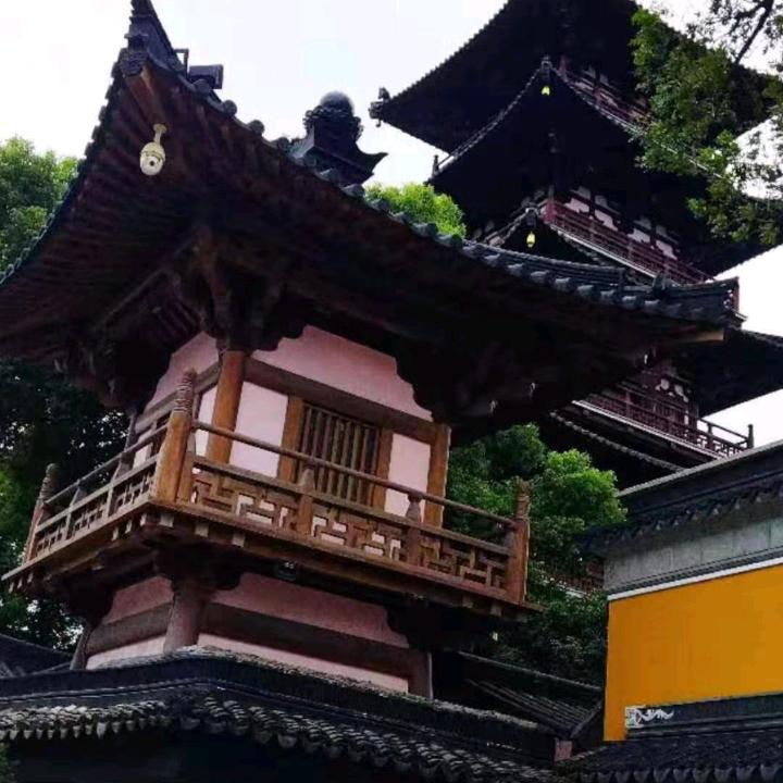谈哥
