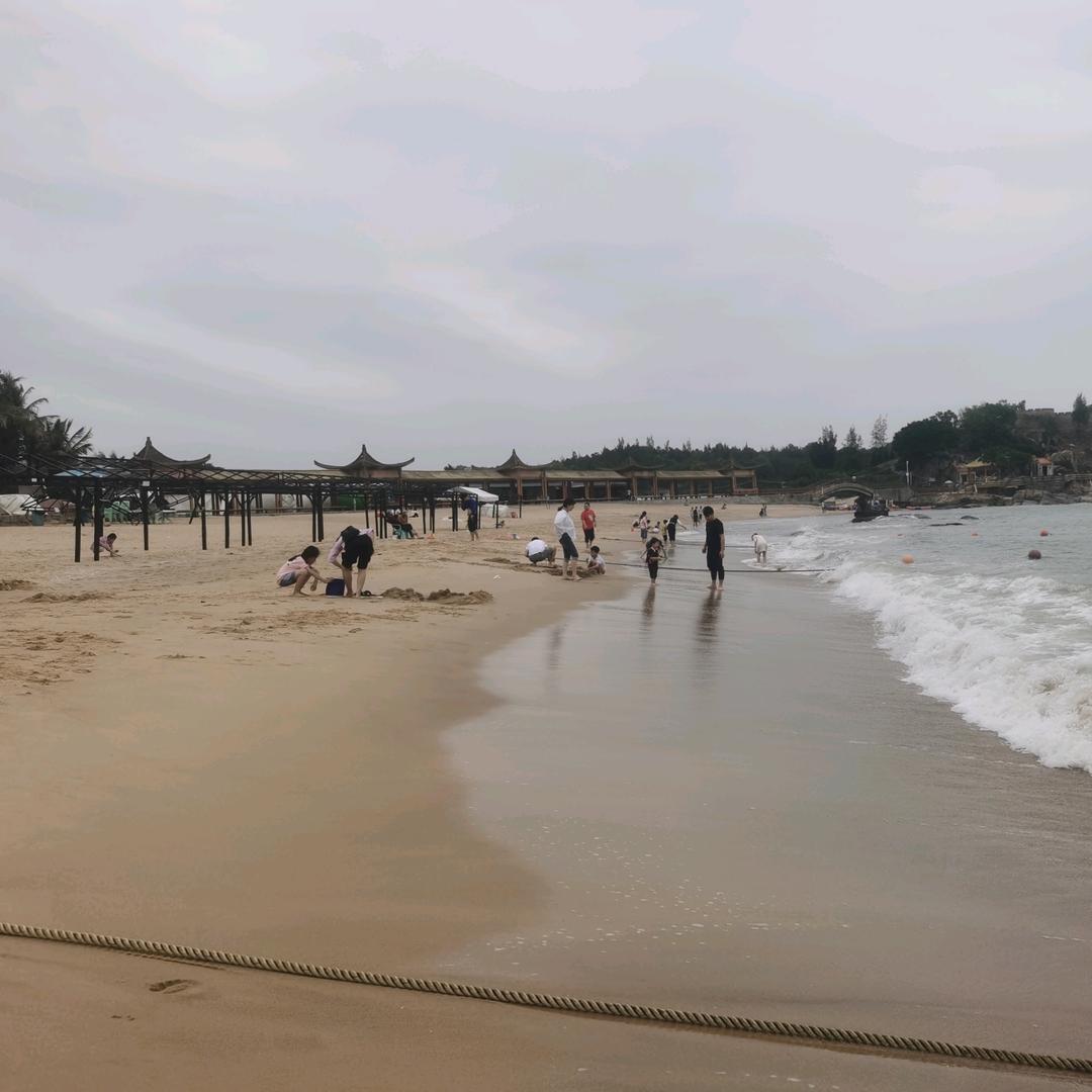 潮汕老陈