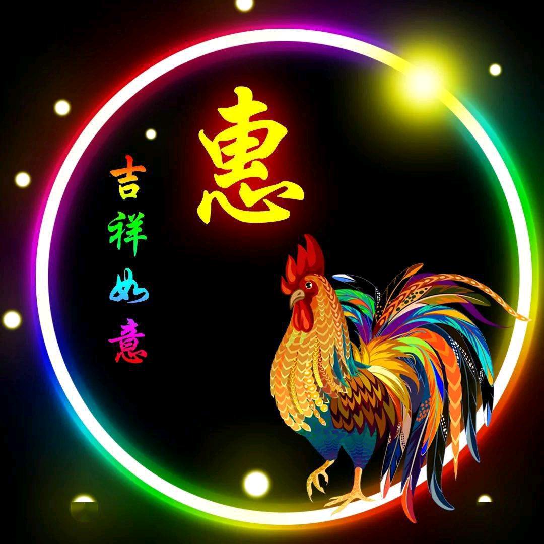 不慌不忙