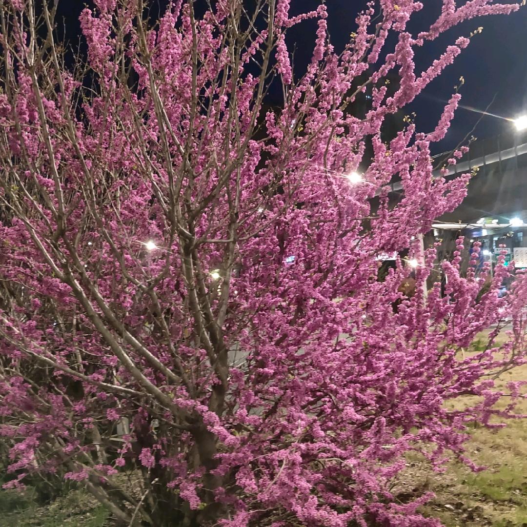 退一步海阔天空
