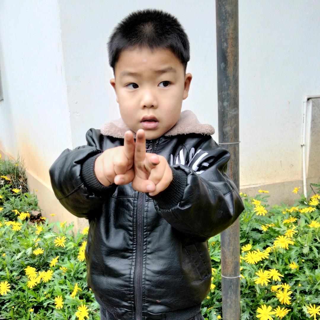 小齐齐
