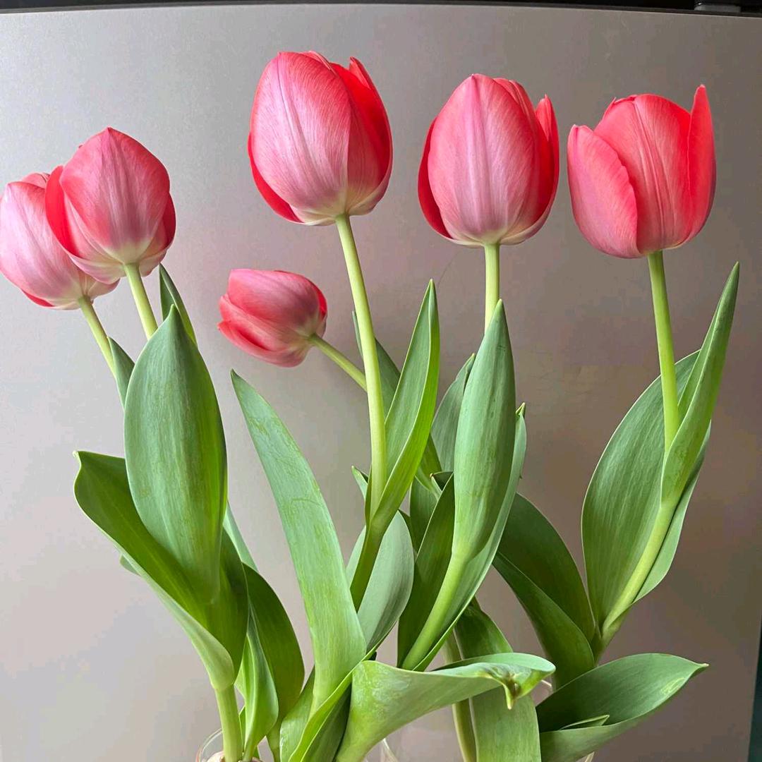 钟余一生🧡ྀི💛ྀི❤️ྀི