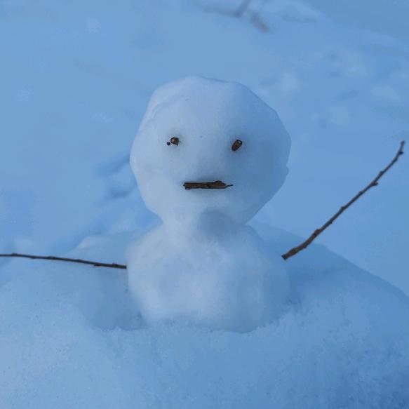 迪迦不打小怪兽