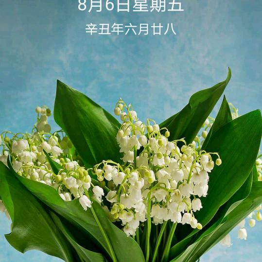 开开心心每一天