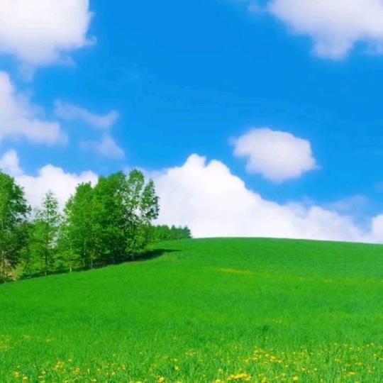 云朵朵好物优选