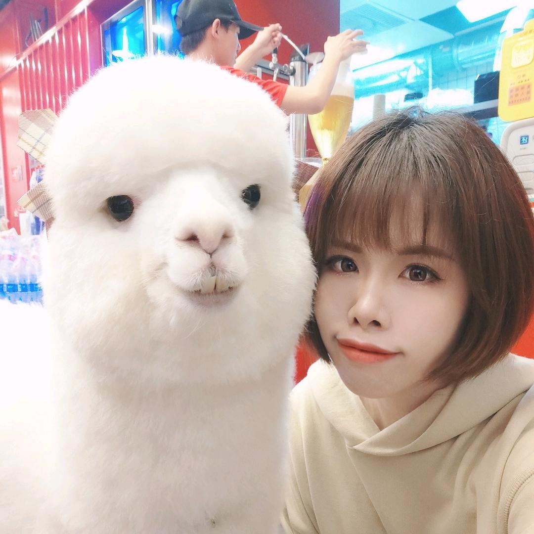 富茶驼子🧋宇阳