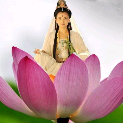 🇨🇳高安卡友金姐🚚