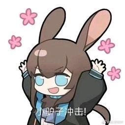 木槿暖夏℃