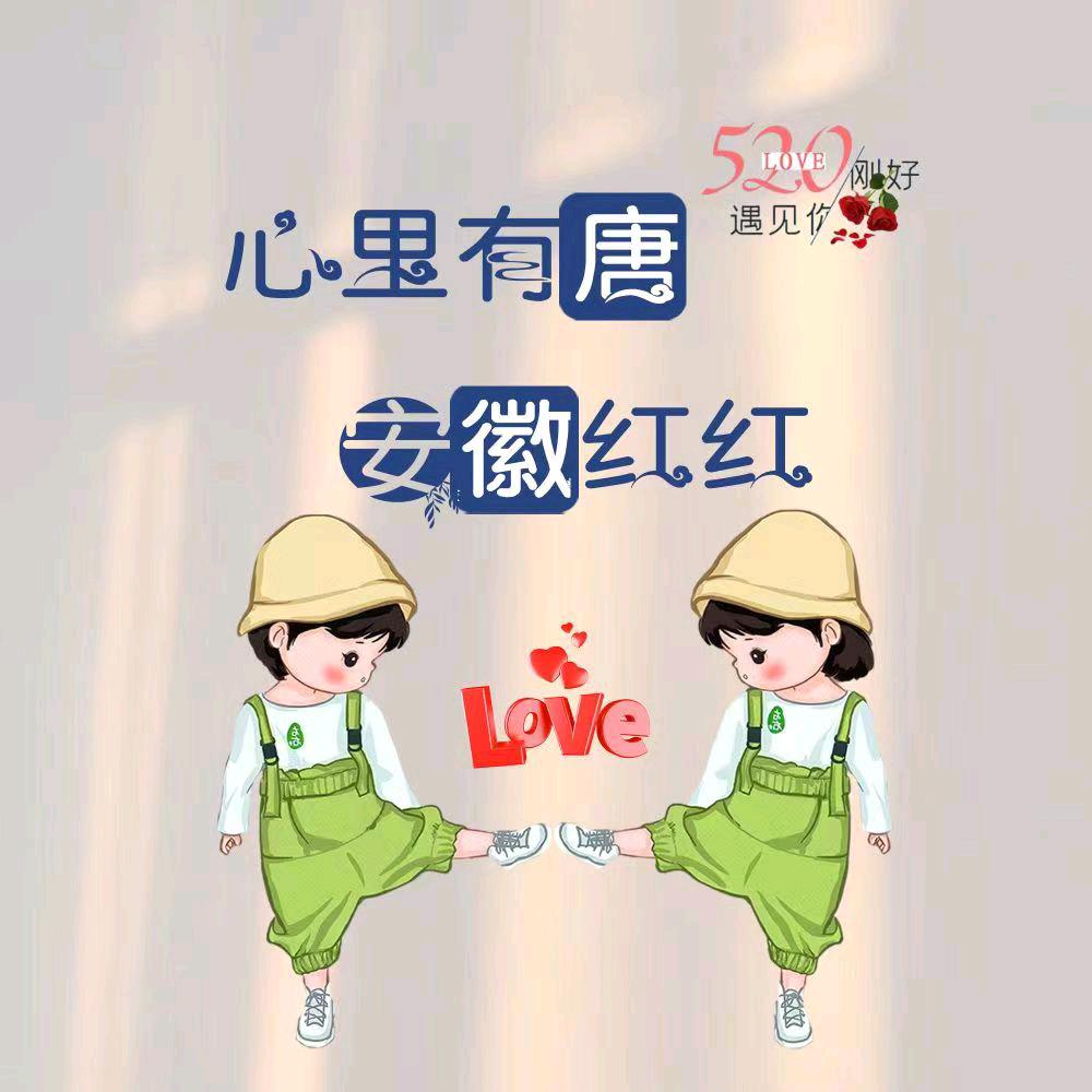 安徽红红