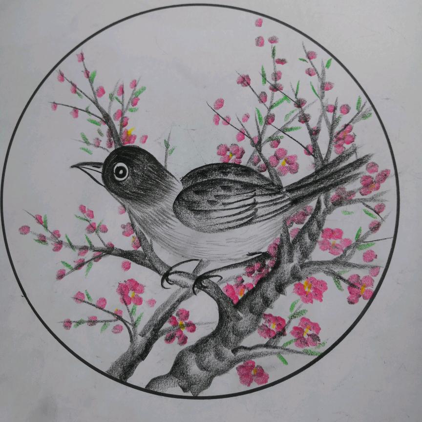 芯芯绘画
