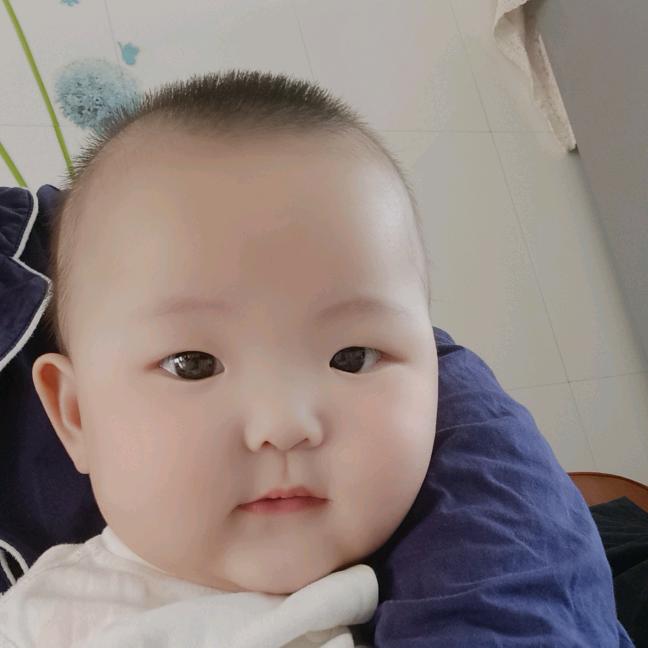 彤彤爱追剧