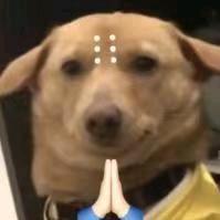aaa秦之之