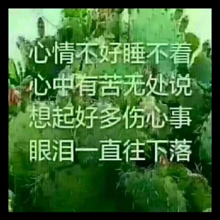 独🌹一🌹无🌹二🌹