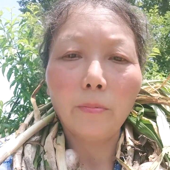 荣儿