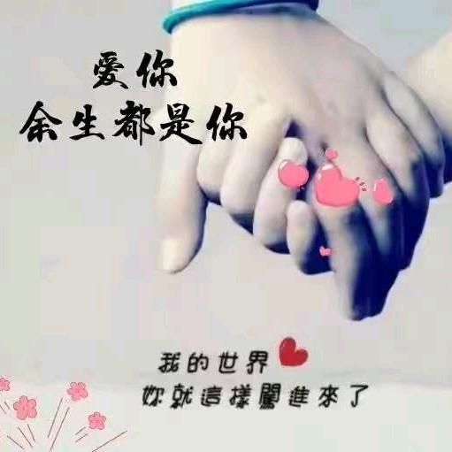 龙安