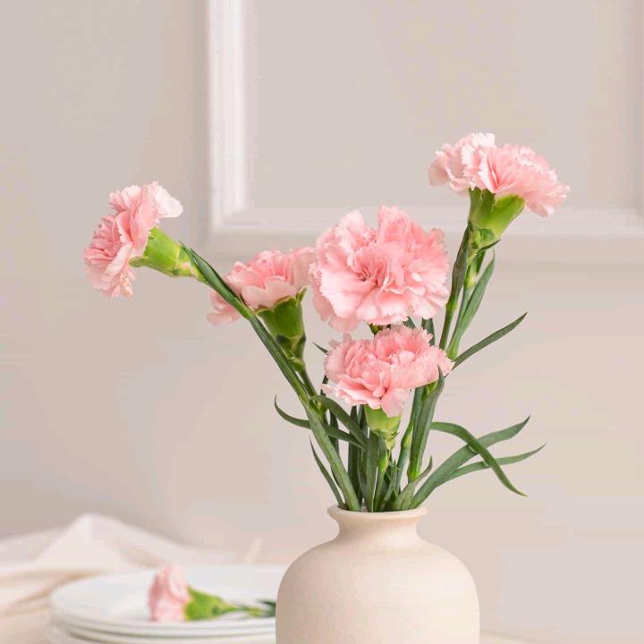 花开