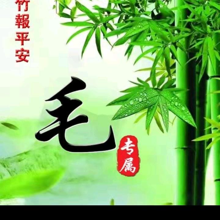 毛毛虫