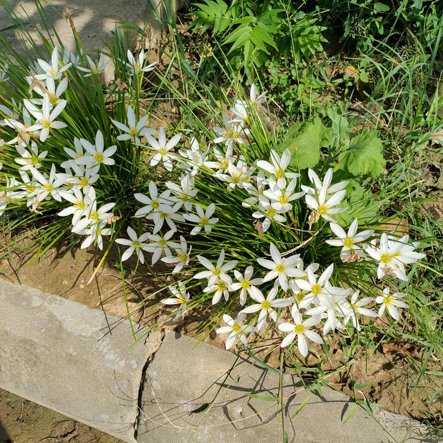 岁月安好109