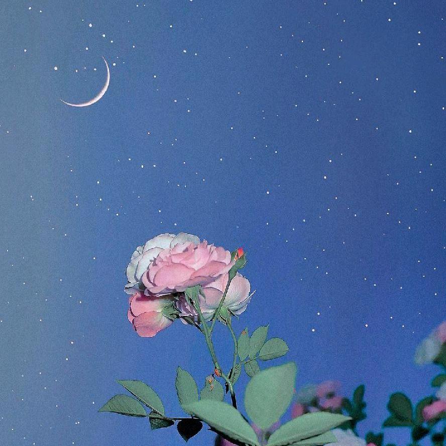 星辰辰