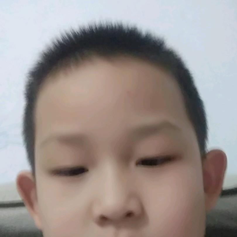 行走(●°u°●) 」