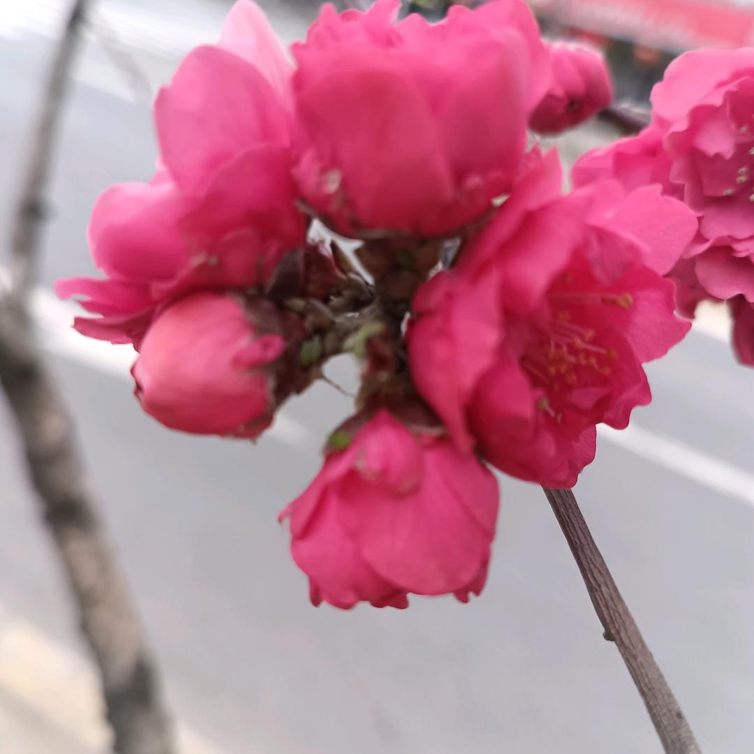 （刘锋）