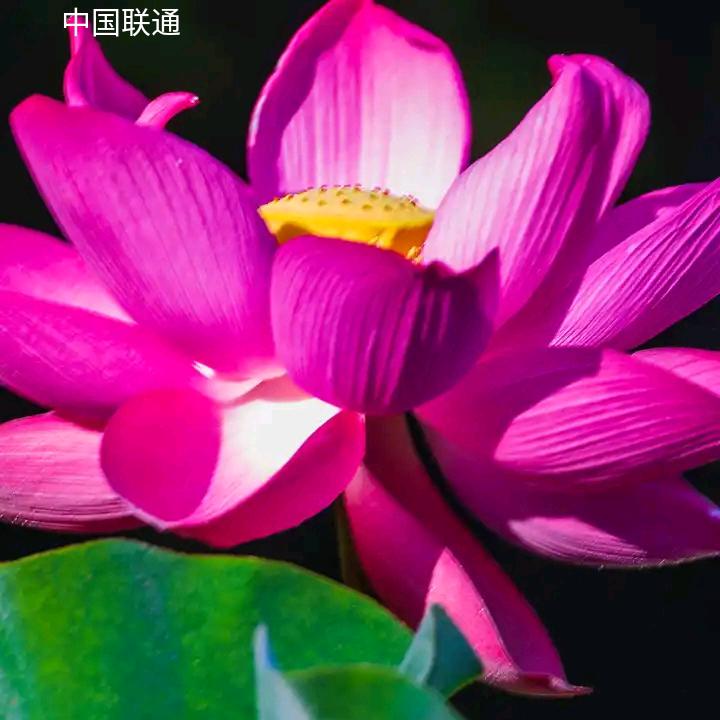 A天上人间
