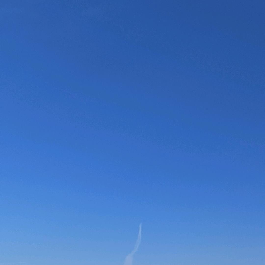 涛子。。。