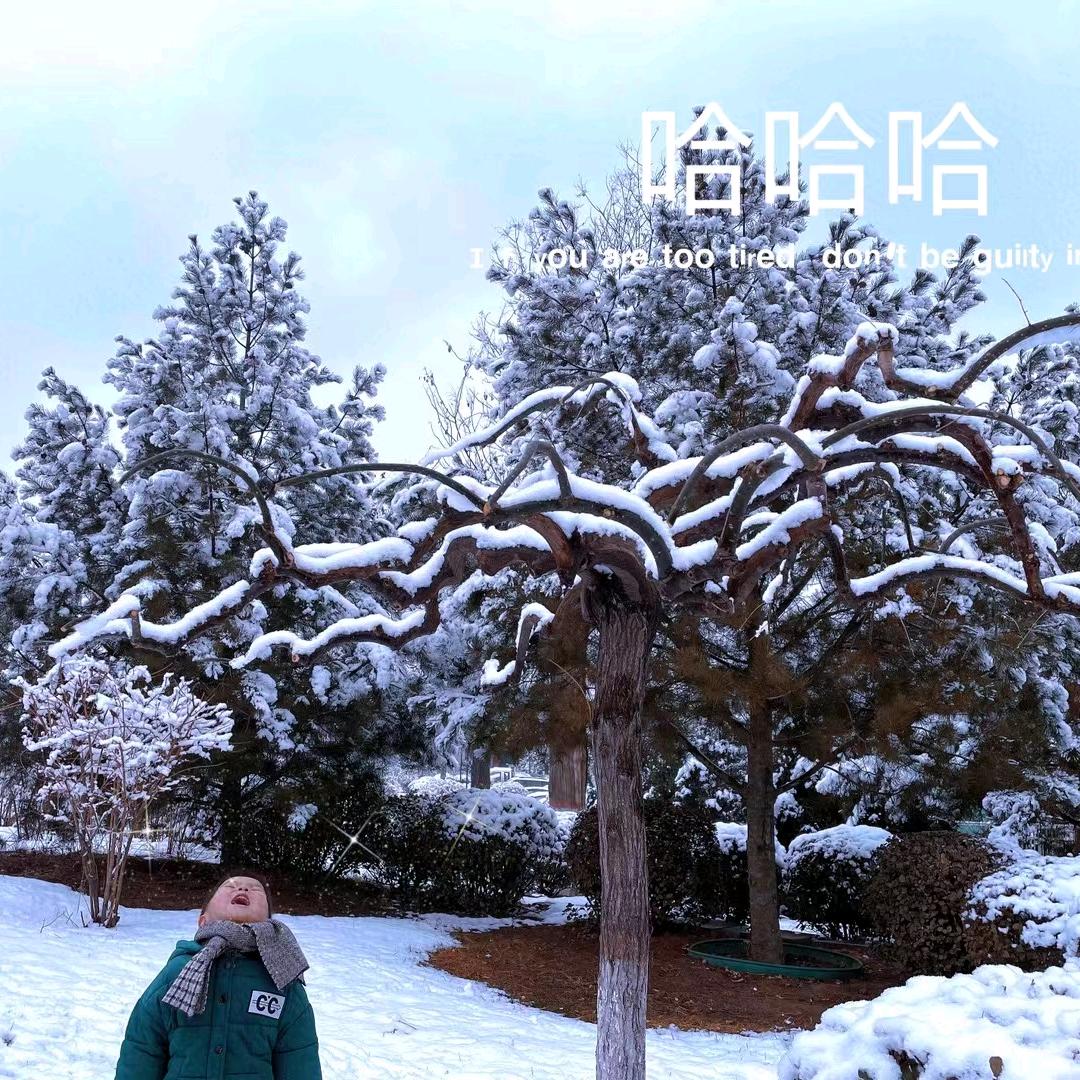 优胜篮球