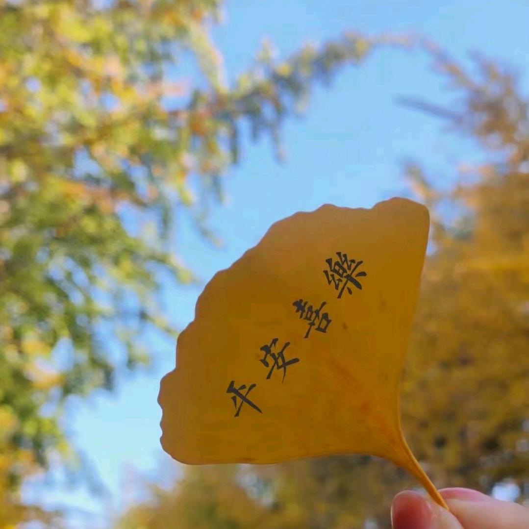 怡茹往昔