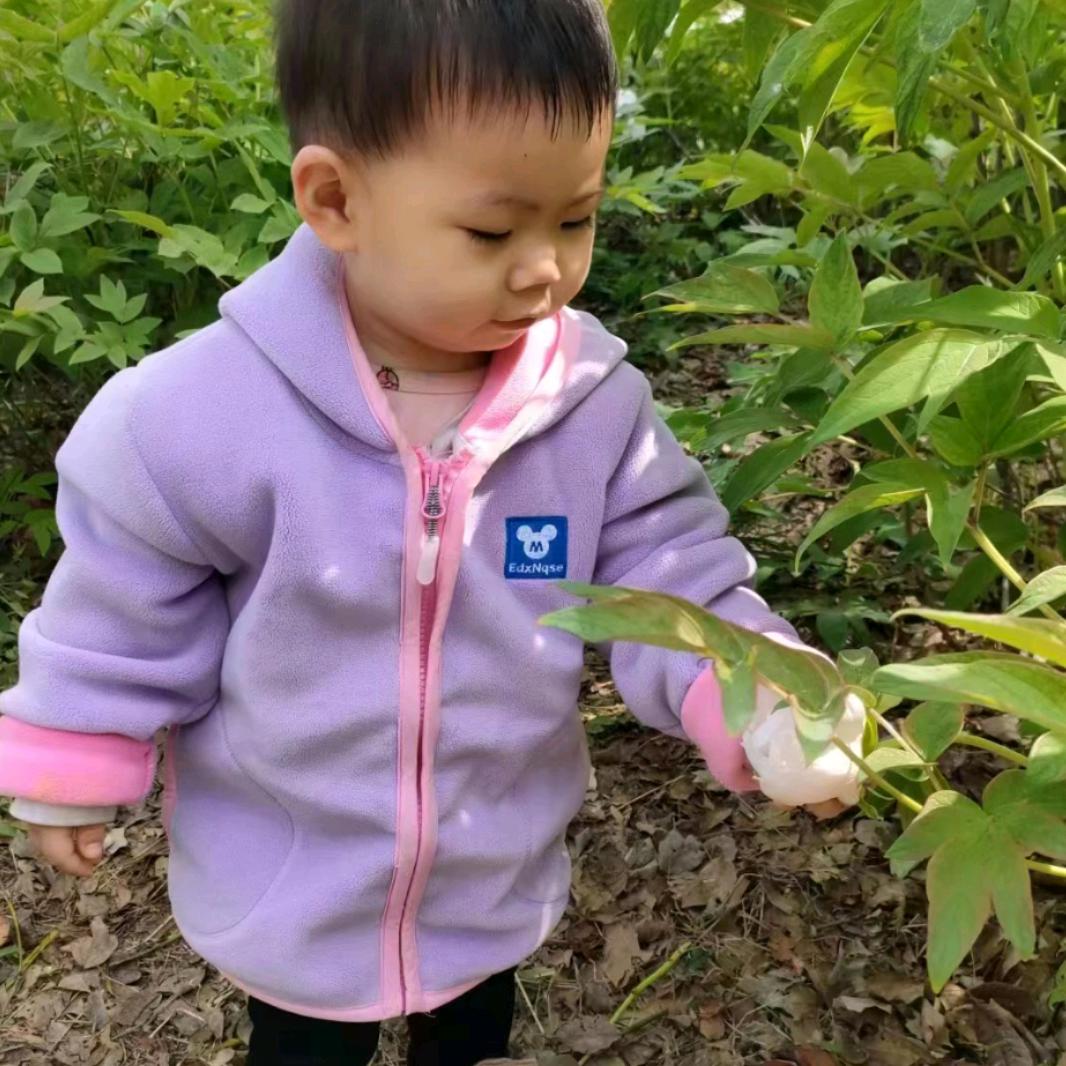 陈哥