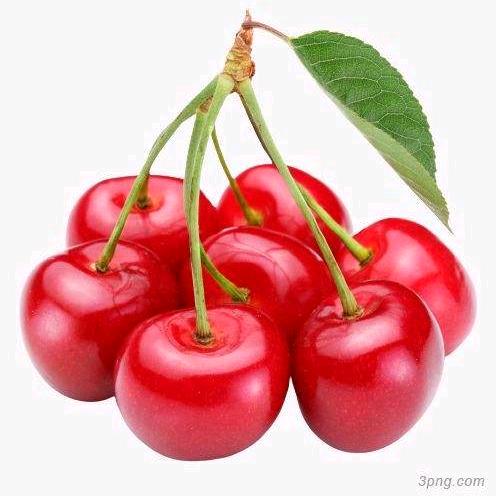 @東来🍎