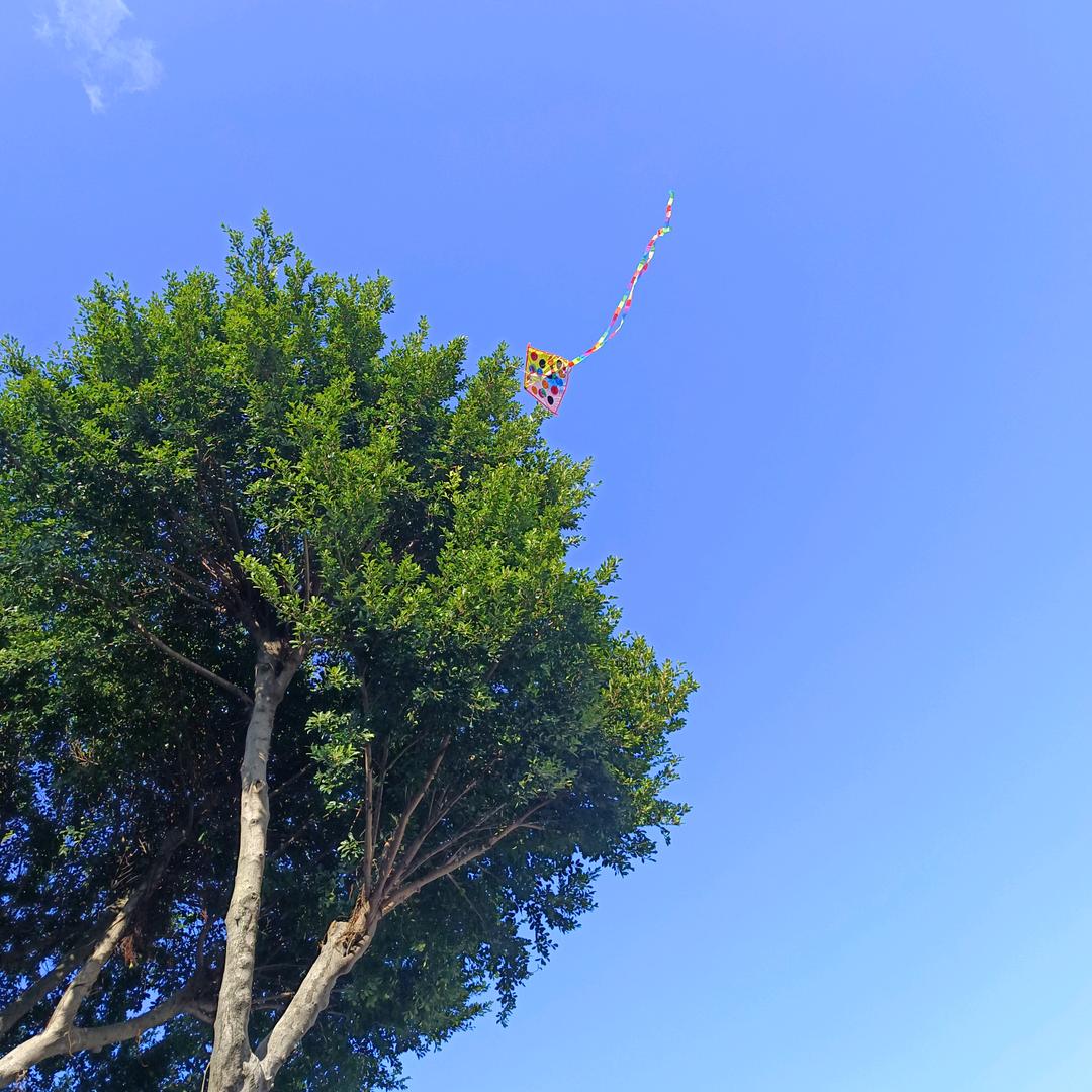 晴天放风筝🪁