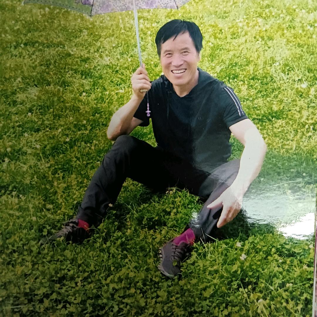 东北大树