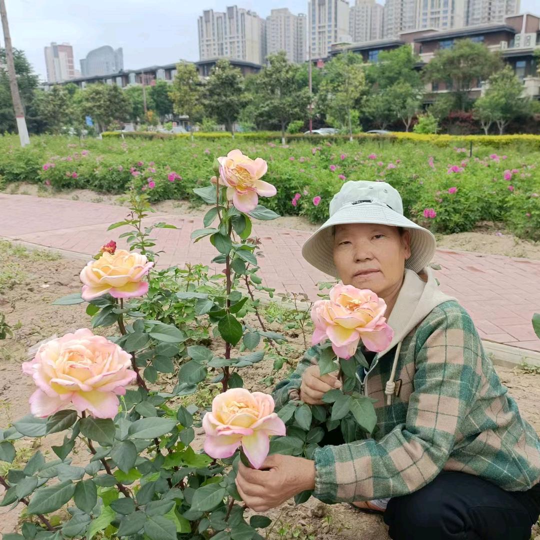 老何