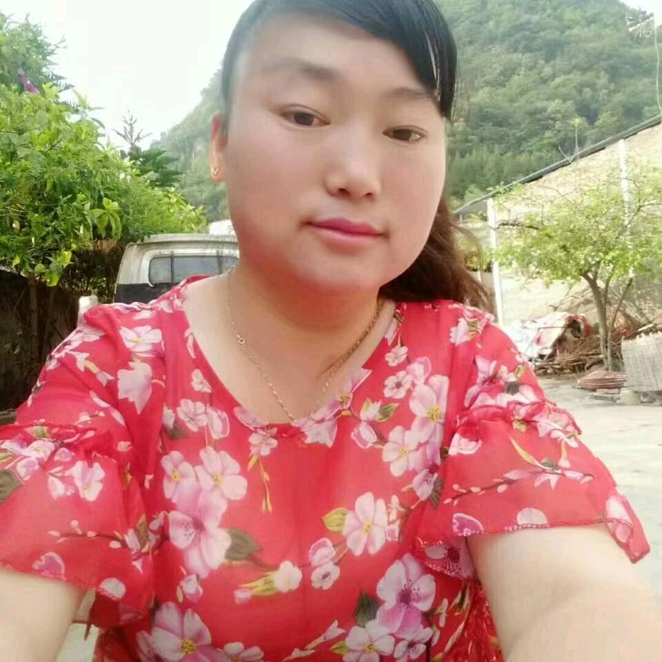 天天顺利（谭）