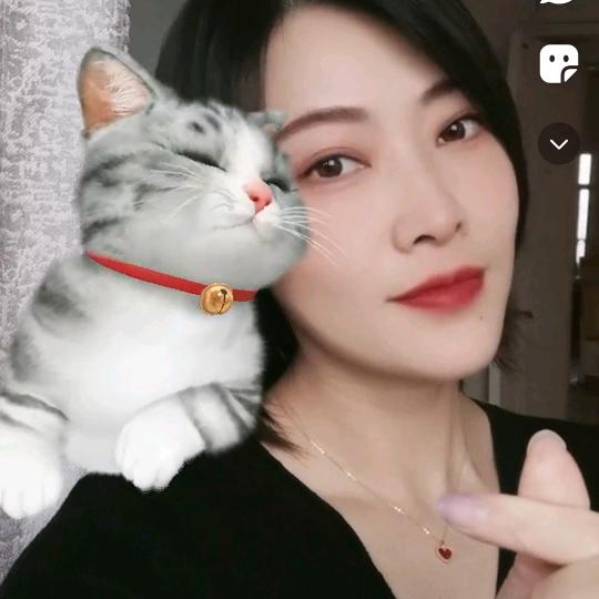 馋猫逛吃宁夏