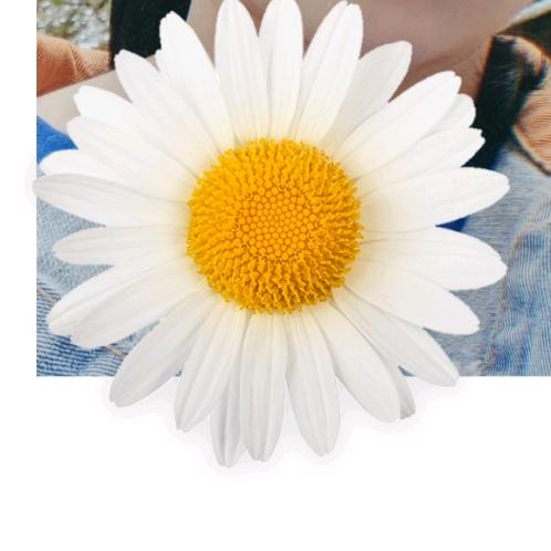 百分完美芊默