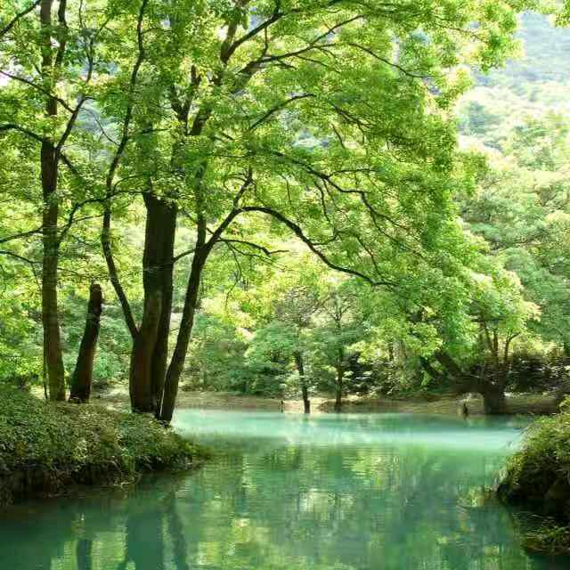 林参谋
