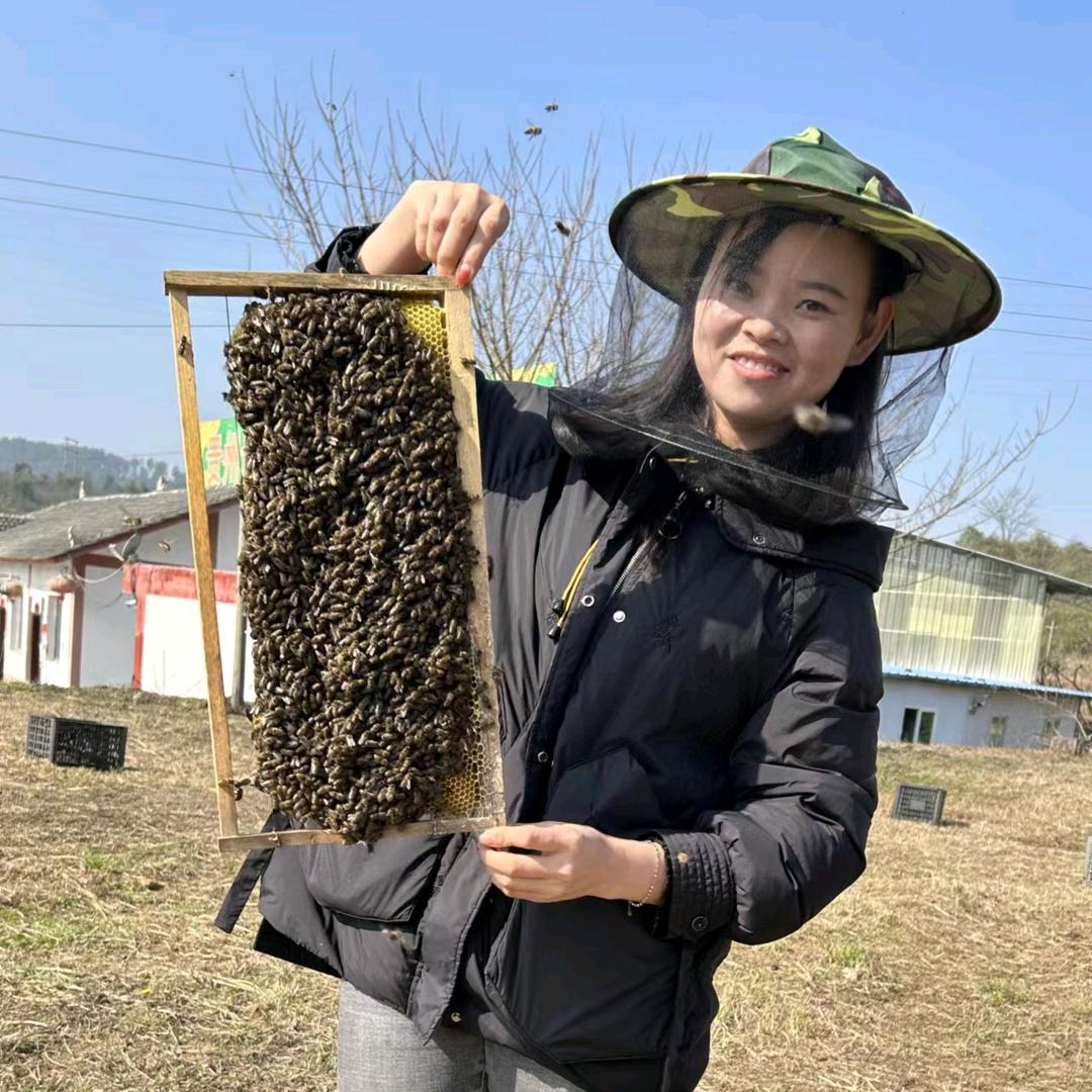 小霞妹养蜂老木顶蜂业