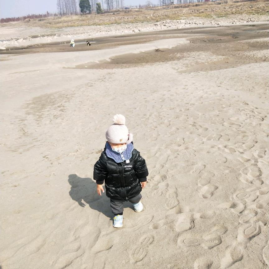自由自在