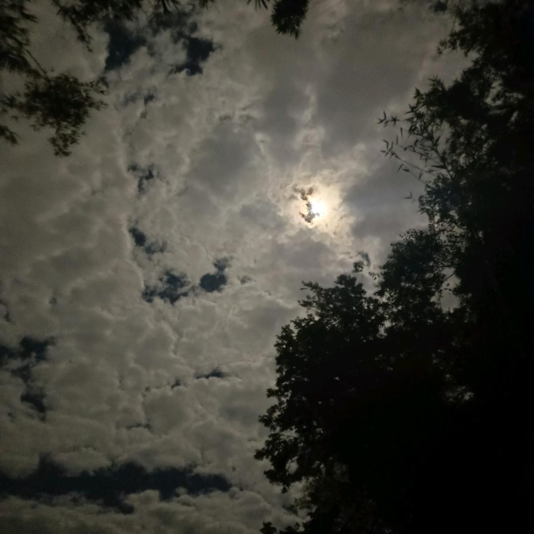 🌈凌晨🕛🌈头像
