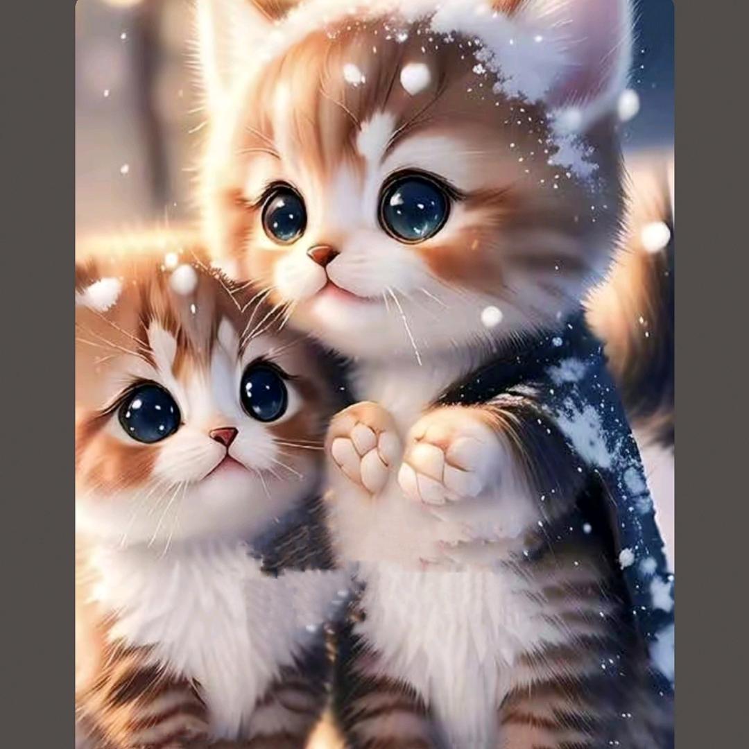 昨夜星辰昨夜风