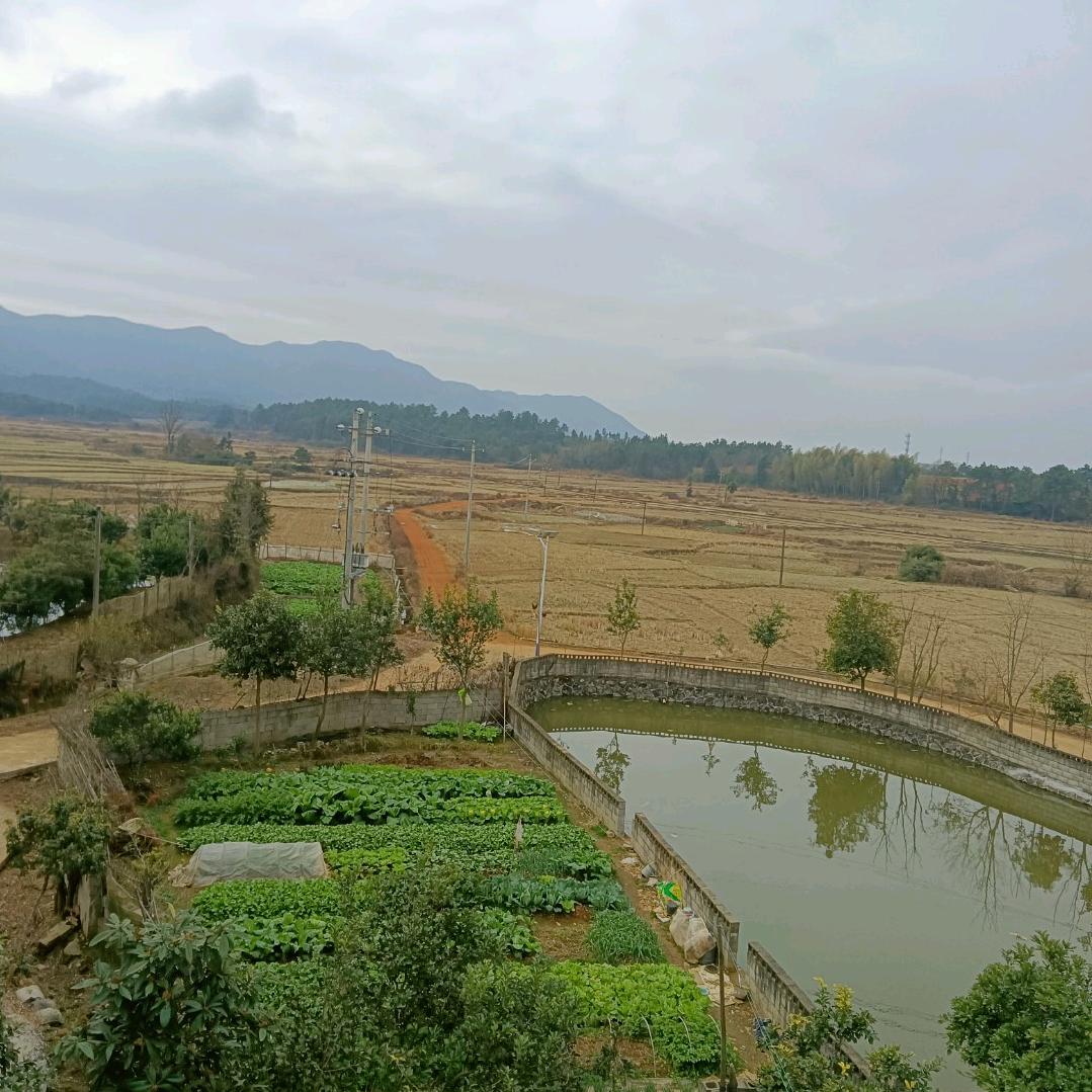 邻溪慕鱼