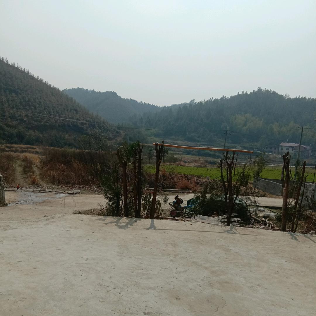 黄发波头像