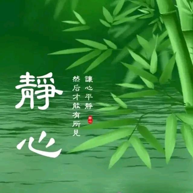 阡陌梅花