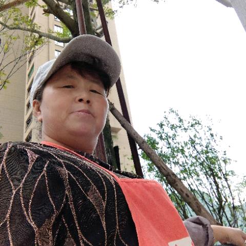 冬去春又回邓江