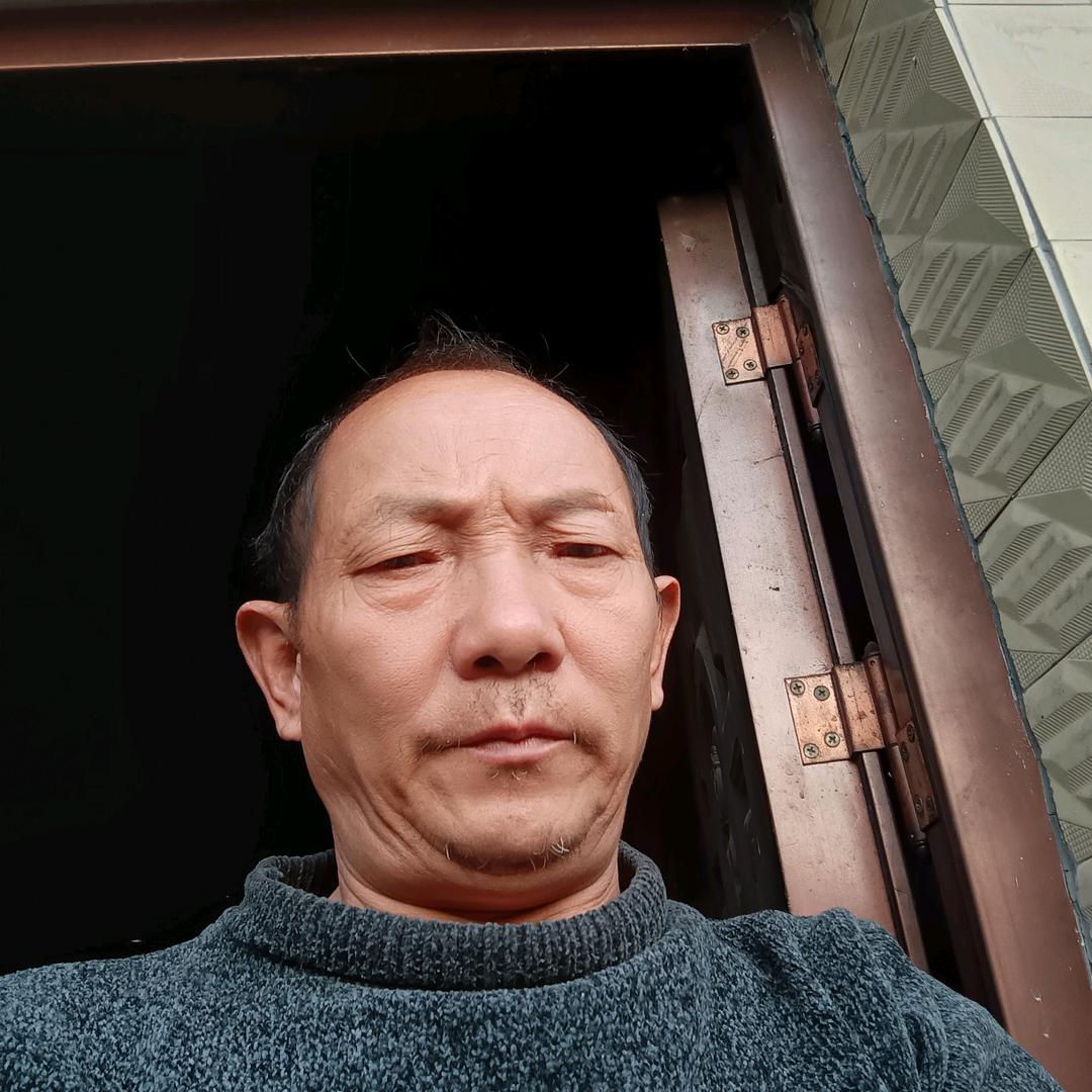 无情无语